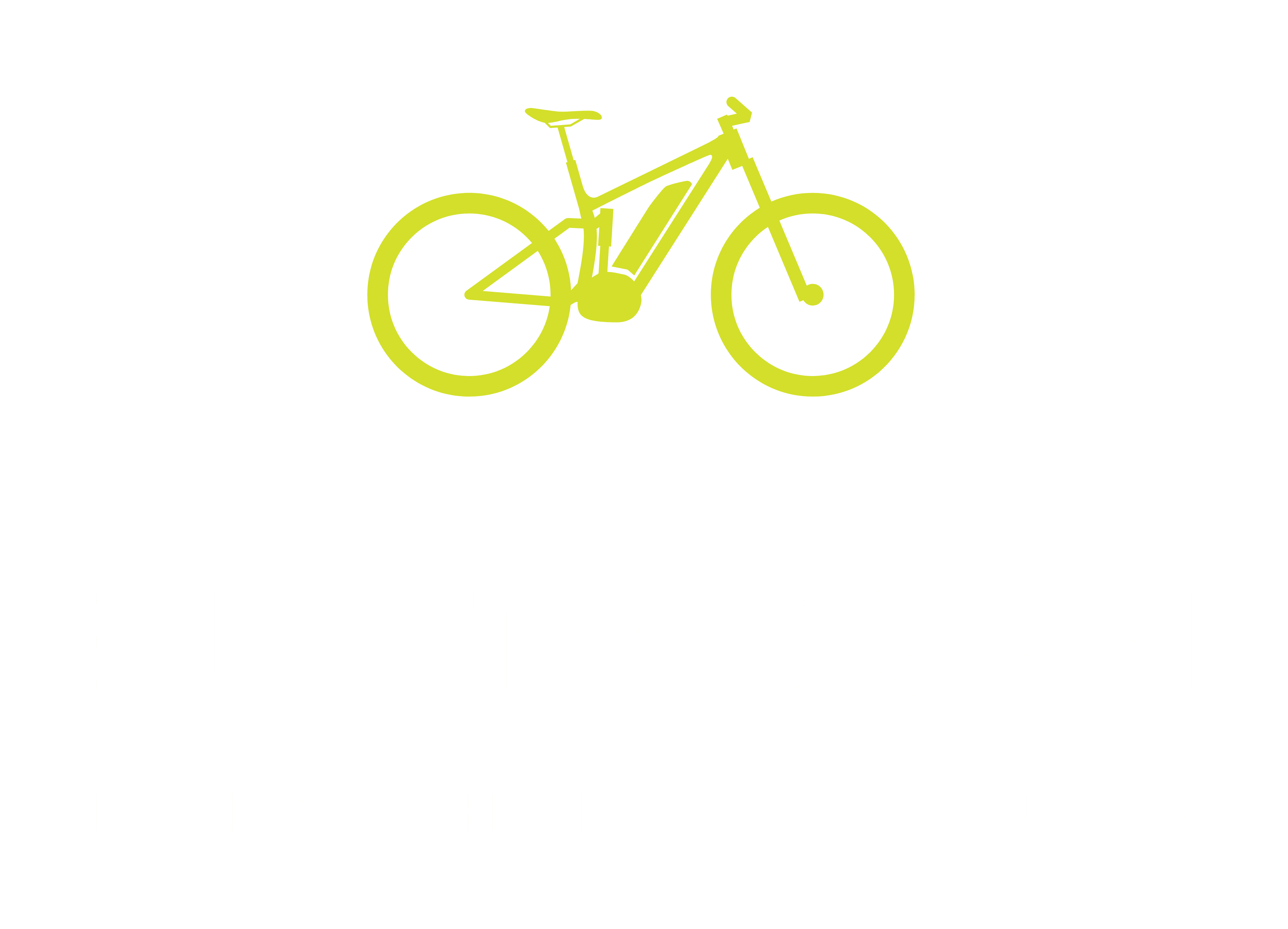 ebike tour queenstown